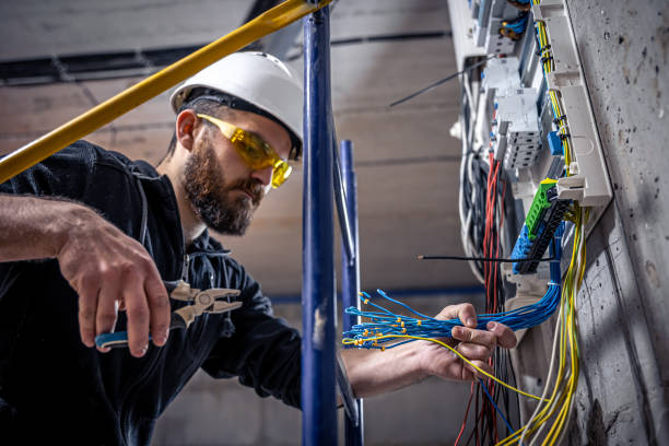 Best Electrician for Home Renovation  in Newhall, IA