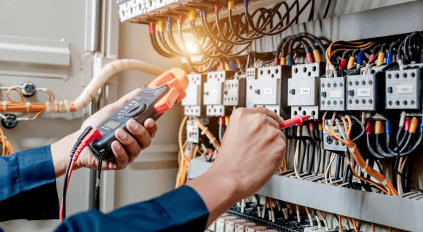 Best Electric Panel Repair  in Newhall, IA